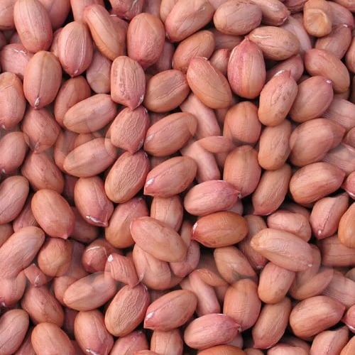 Groundnut Oil product image